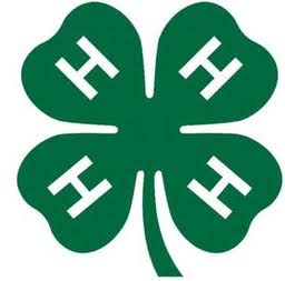 Jamaica 4H