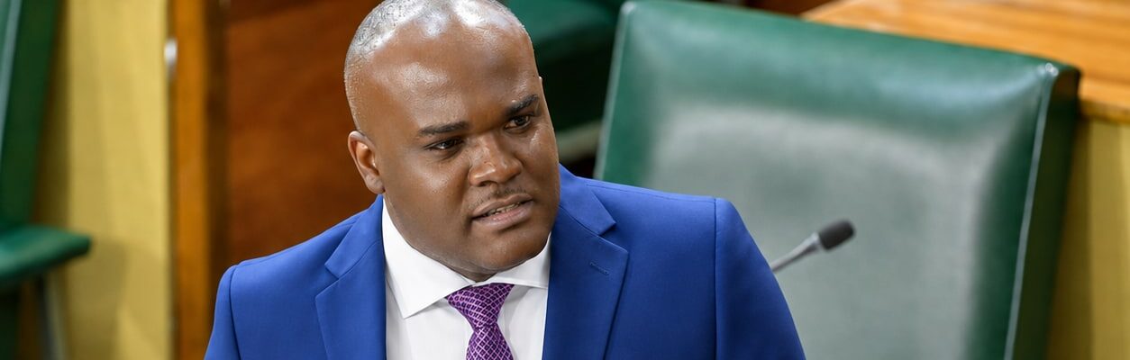 JLP Senator Abka Fitz-Henley