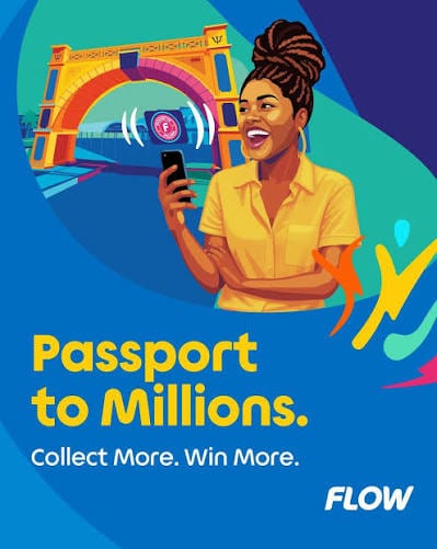 Flow Passport to Millions