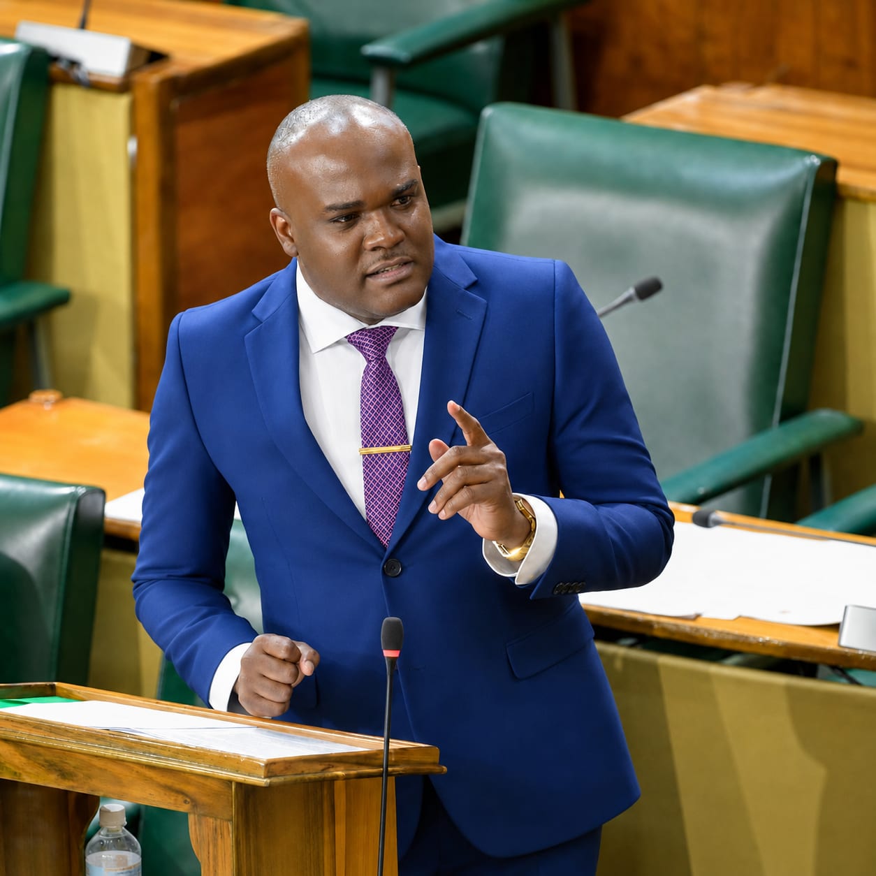 JLP Senator Abka Fitz-Henley