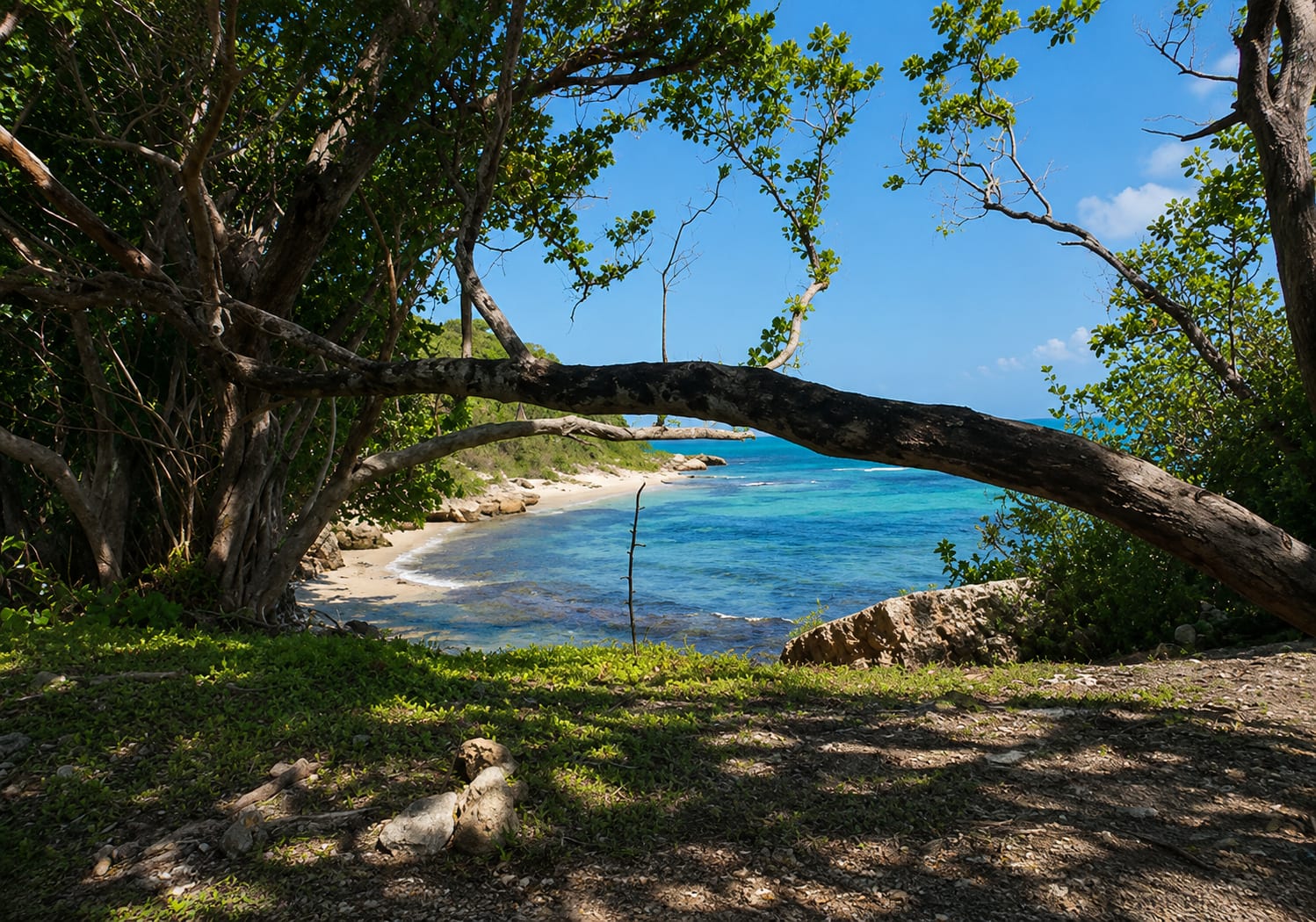 Jamaican-Beach-2