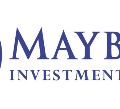 Mayberry-Investments-logo