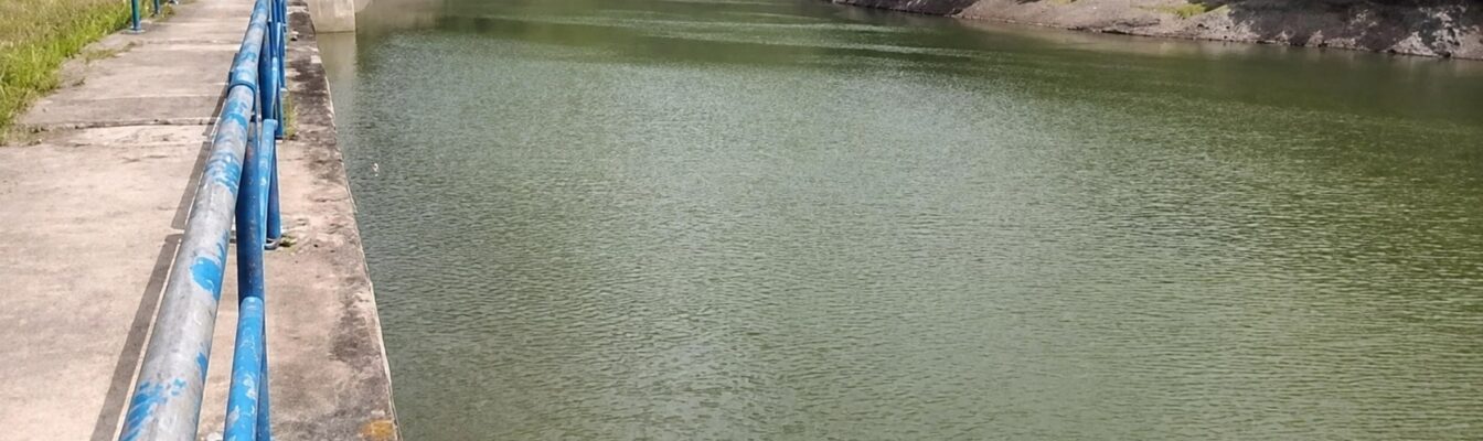 Hermitage Dam low