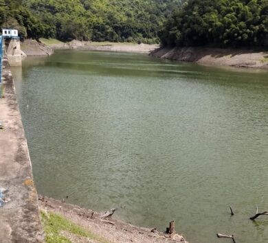 Hermitage Dam low