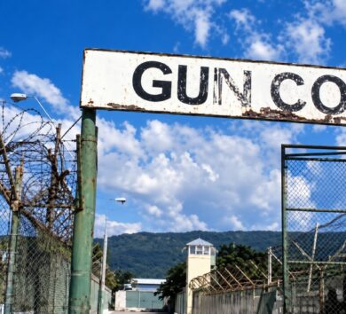 Gun Court