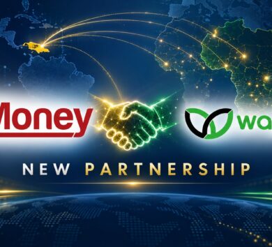 JN Money Wapipay
