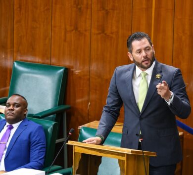 Christian Tavares Finson