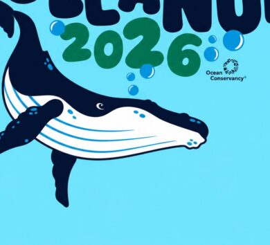 International Coastal Cleanup (ICC) Day 2026