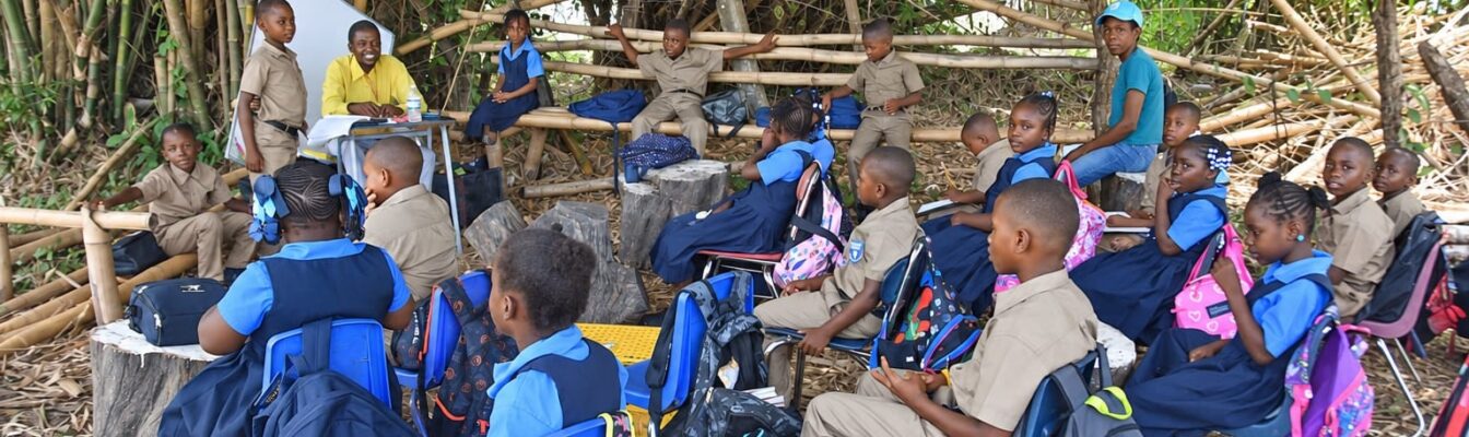 Holland Primary School as students are forced to learn under bamboo trees