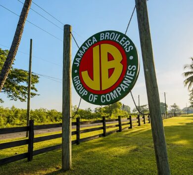 Jamaica Broilers 6