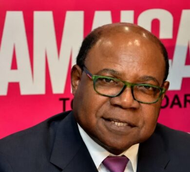 Tourism Minister Edmund Bartlett 2