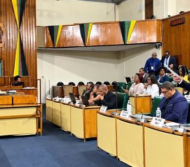 UNESCO expert delivering its perspective on Jamaica’s Green Paper on Culture, Entertainment and the Creative Economy