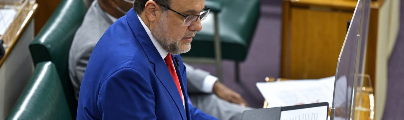 Mark Golding Leader of Opposition