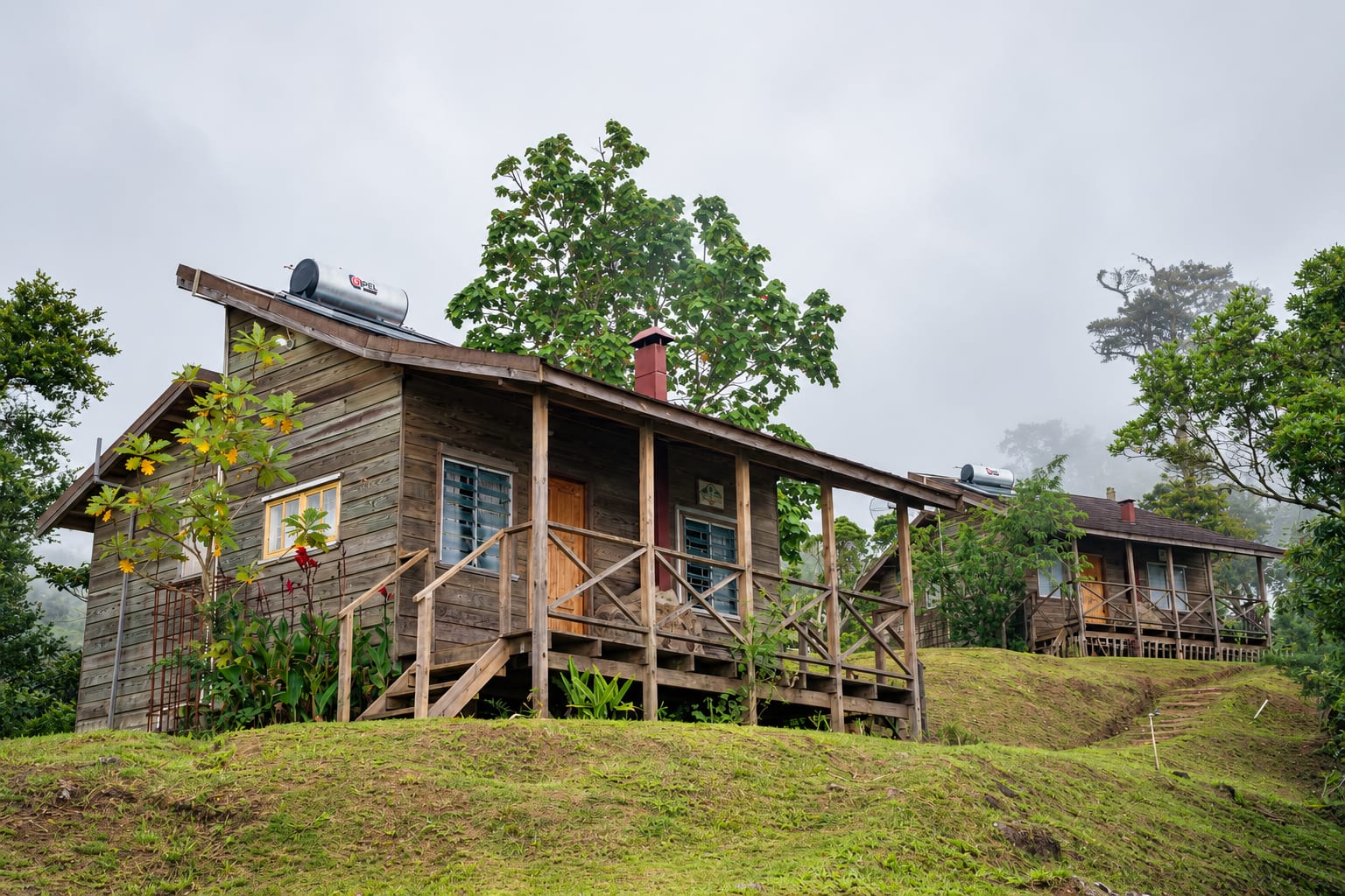Hollywell 2